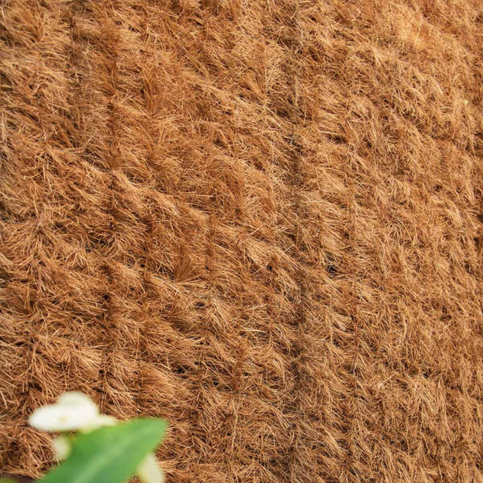 Seto Con Coco Natural Coconatur