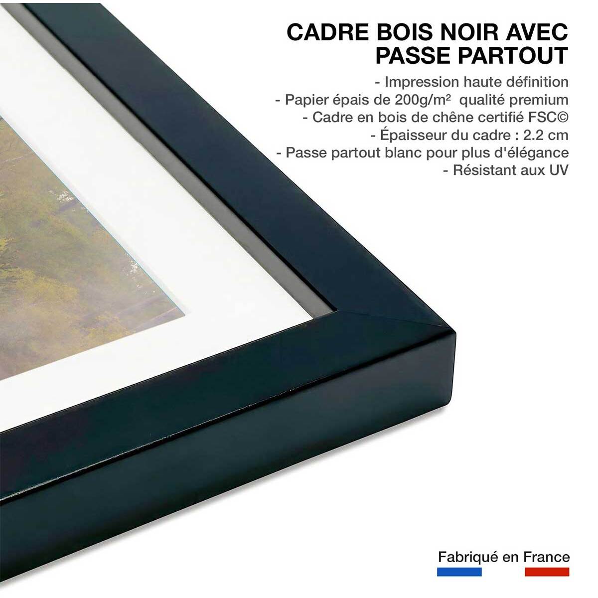 Affiche paysage oies sauvages Affiche + cadre en bois - Noir