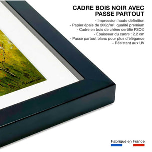 Affiche  bouleaux et coquelicots Affiche sous cadre noir