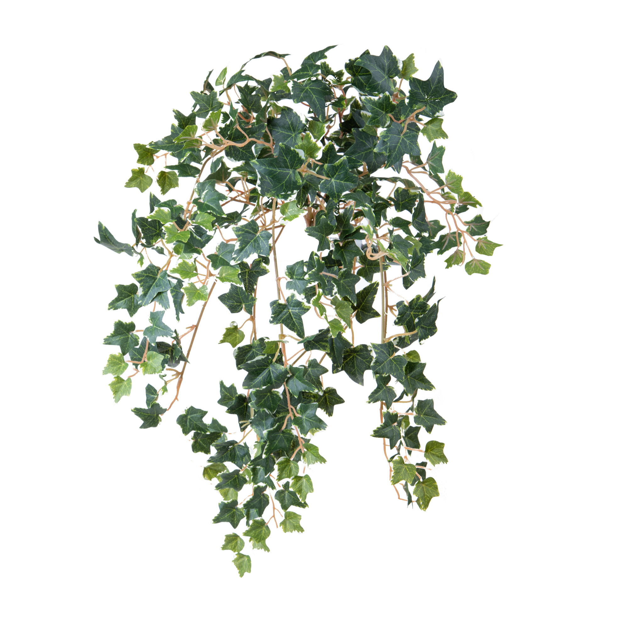 Cadente Mini Edera 302 Folgie 50 Cm - Pezzi 2 - 10X50X3cm - Colore: Verde - Bianchi Dino - Piante Artificiali