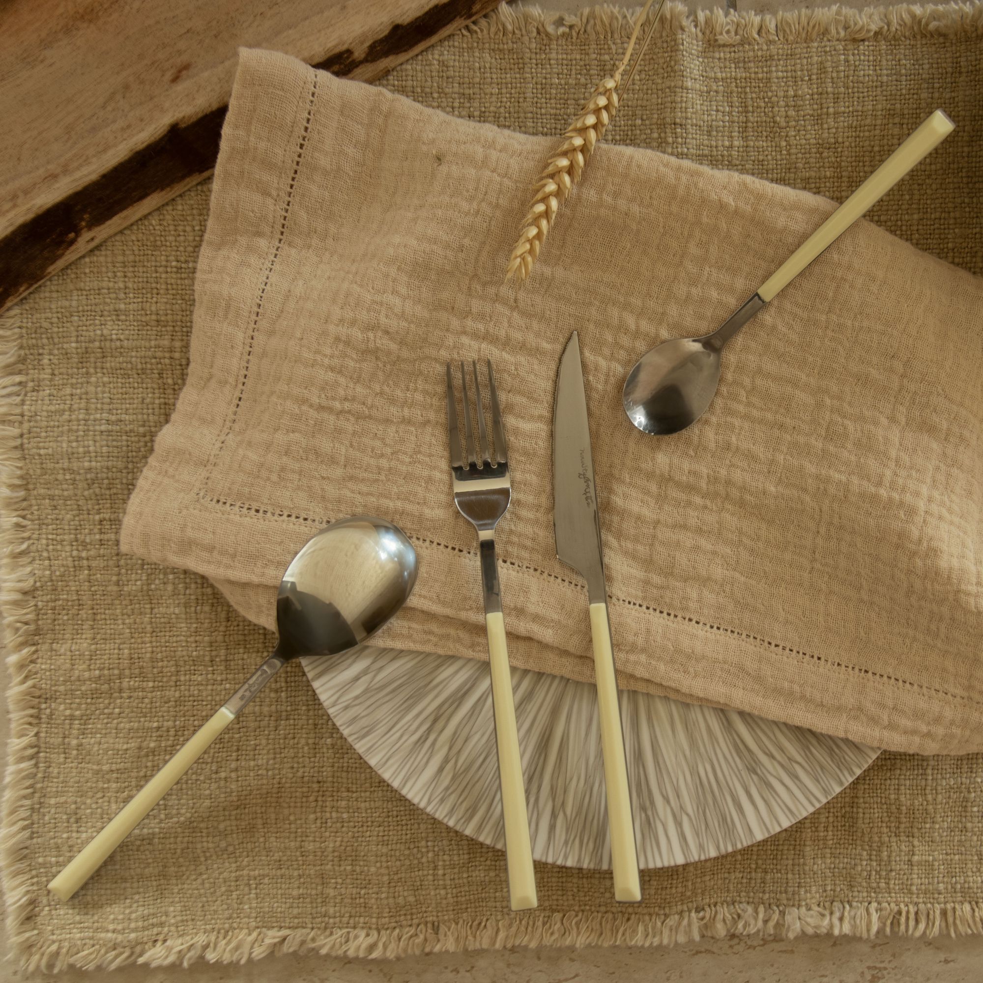 Lot de 6 cuillères de table crème en acier inoxydable  COLORAMA