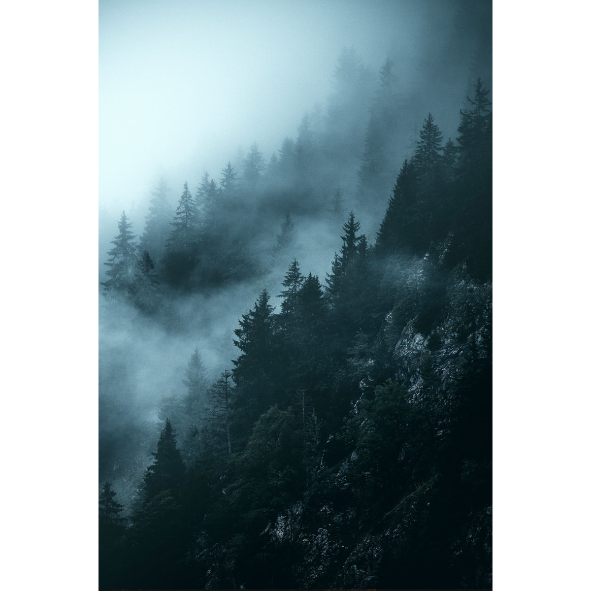 Tableau suisse au petit matin Tableau alu Dibond