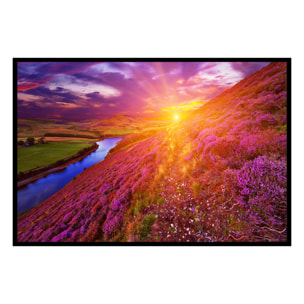 Affiche encadrée paysage de lande fleurie au coucher du soleil Affiche + cadre en métal - Noir