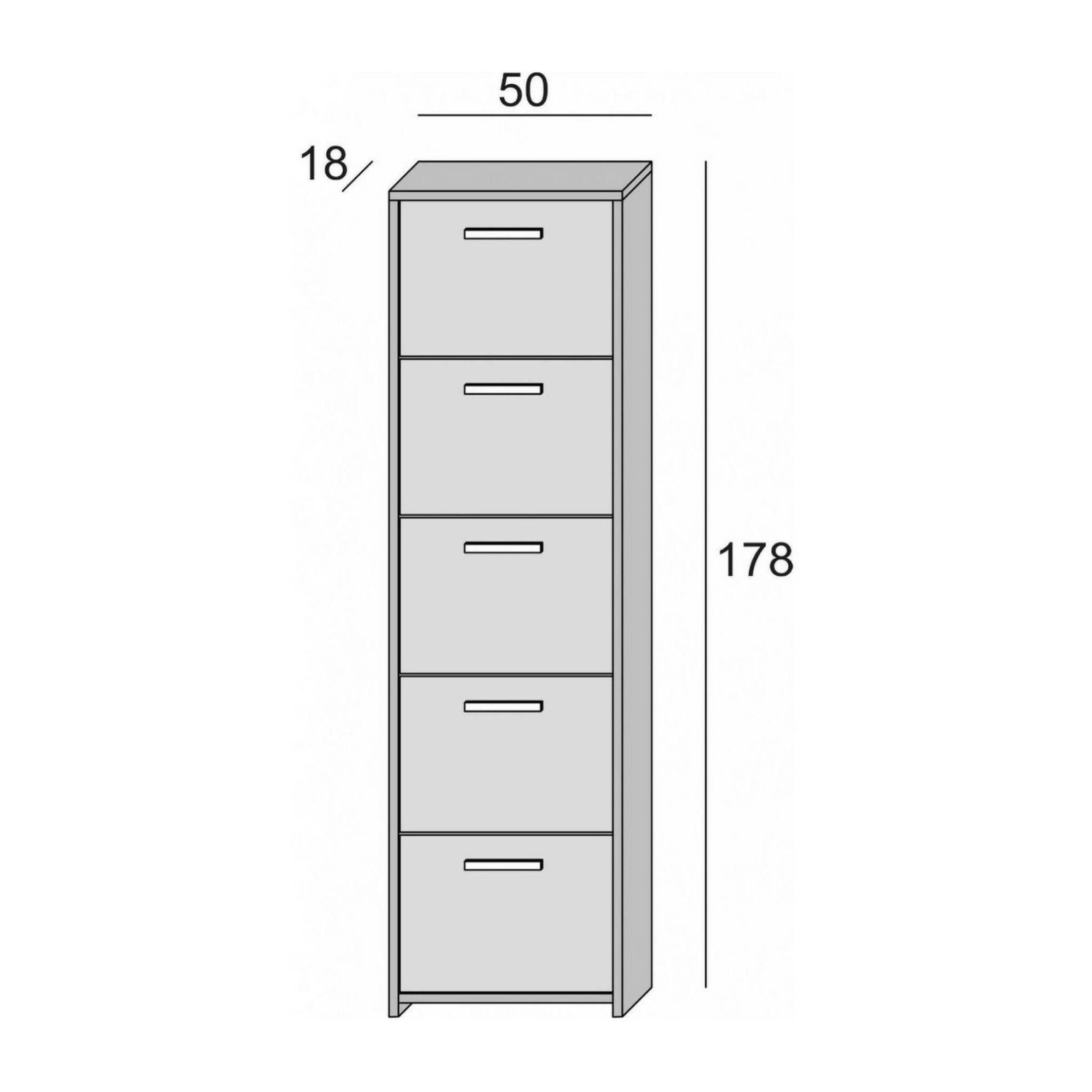 Scarpiera Dafne, Mobile multiuso da ingresso a 5 ante, Armadio moderno portascarpe a ripiani, 100% Made in Italy, Cm 50x18h178, Bianco