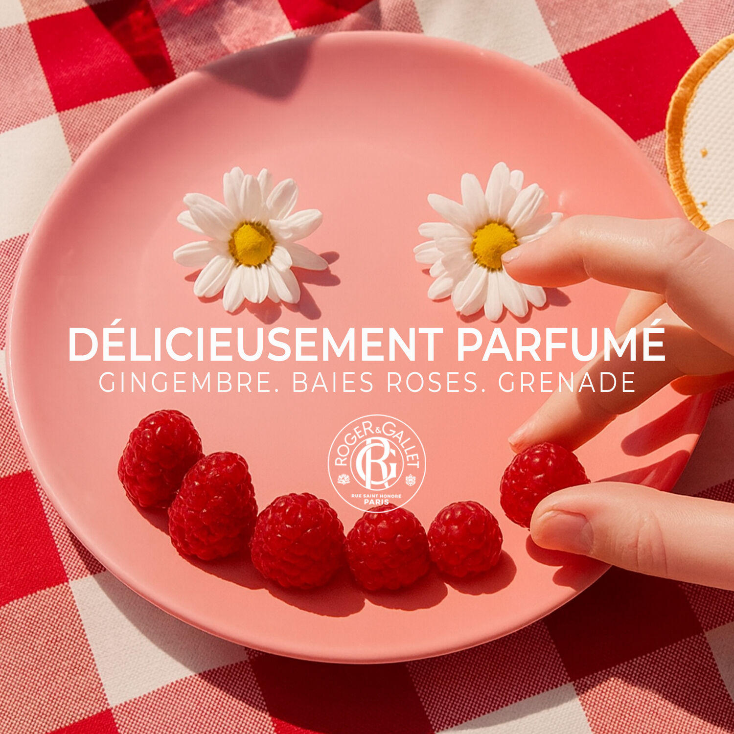 Gingembre Rouge - Crème Mains Bienfaisante 30 ml