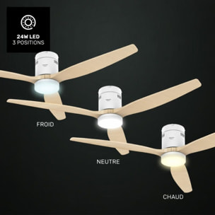 Ventilateur plafonnier TAURUS POLAR 3B