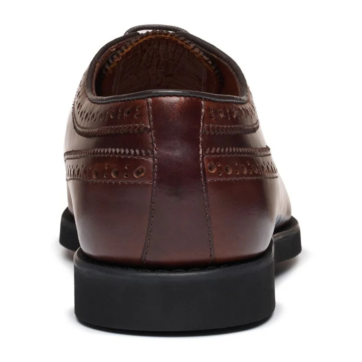 Sebago - Scarpe allacciate Uomo Marrone - Canton Pull Up