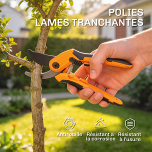 Ensemble 4 pièces taille-haies ébrancheur sécateur scie pliable
