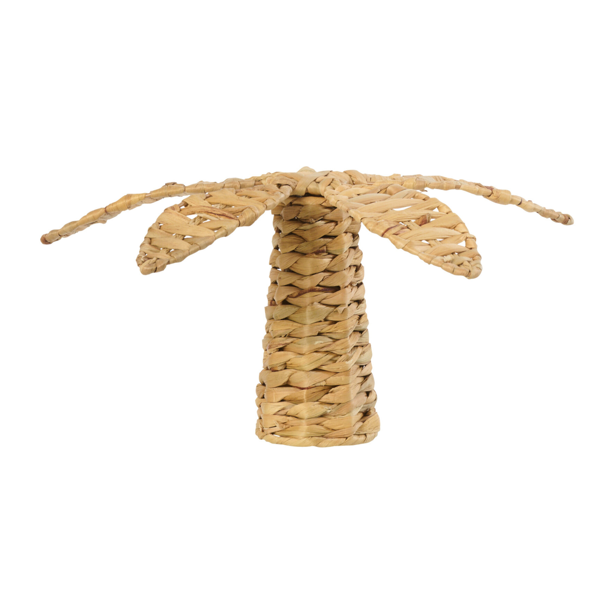 J-Line Palmier Jacinthe D'eau décoratif - naturel - small