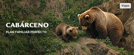Cabárceno: Alojamiento + Entrada