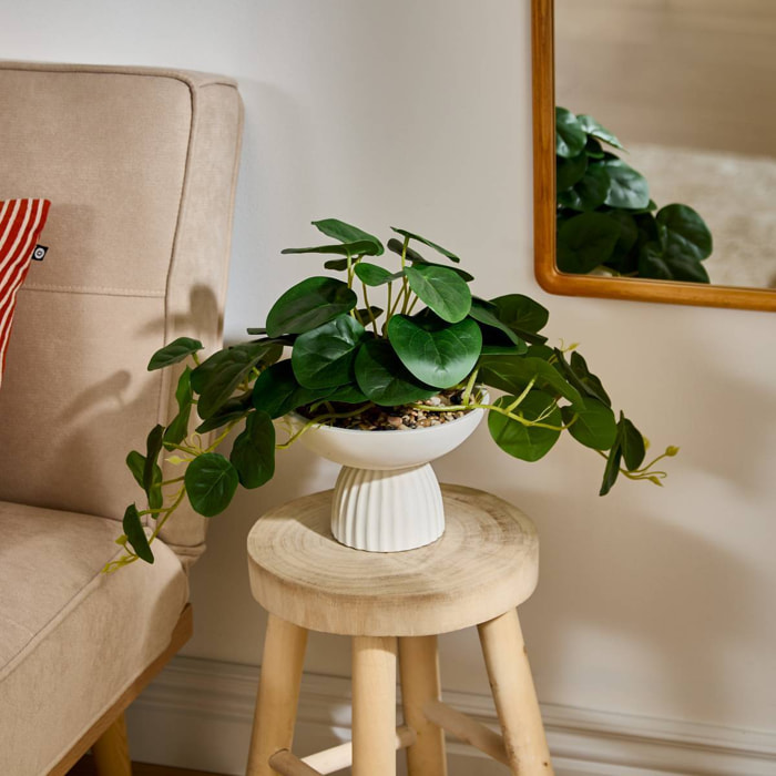 Plante artificielle Nippo H.29cm blanc