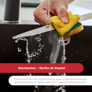 Set de 5 Cuchillos y Tijeras en acero inoxdiable Kyoto Bergner