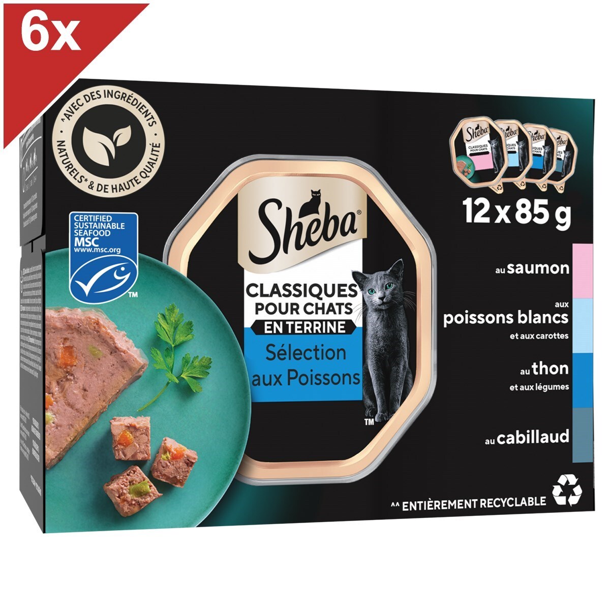 SHEBA 72 Barquettes Sélection aux poissons en terrine 85g (6x12)