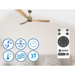 Ventilateur de plafond Réversible  Thermostat Wifi Moteur à courant continu Toits en pente Télécommande Hypersilence Mémoire