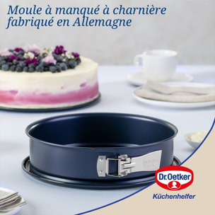 Moule à manqué à charnière Dr Oetker Back Liebe