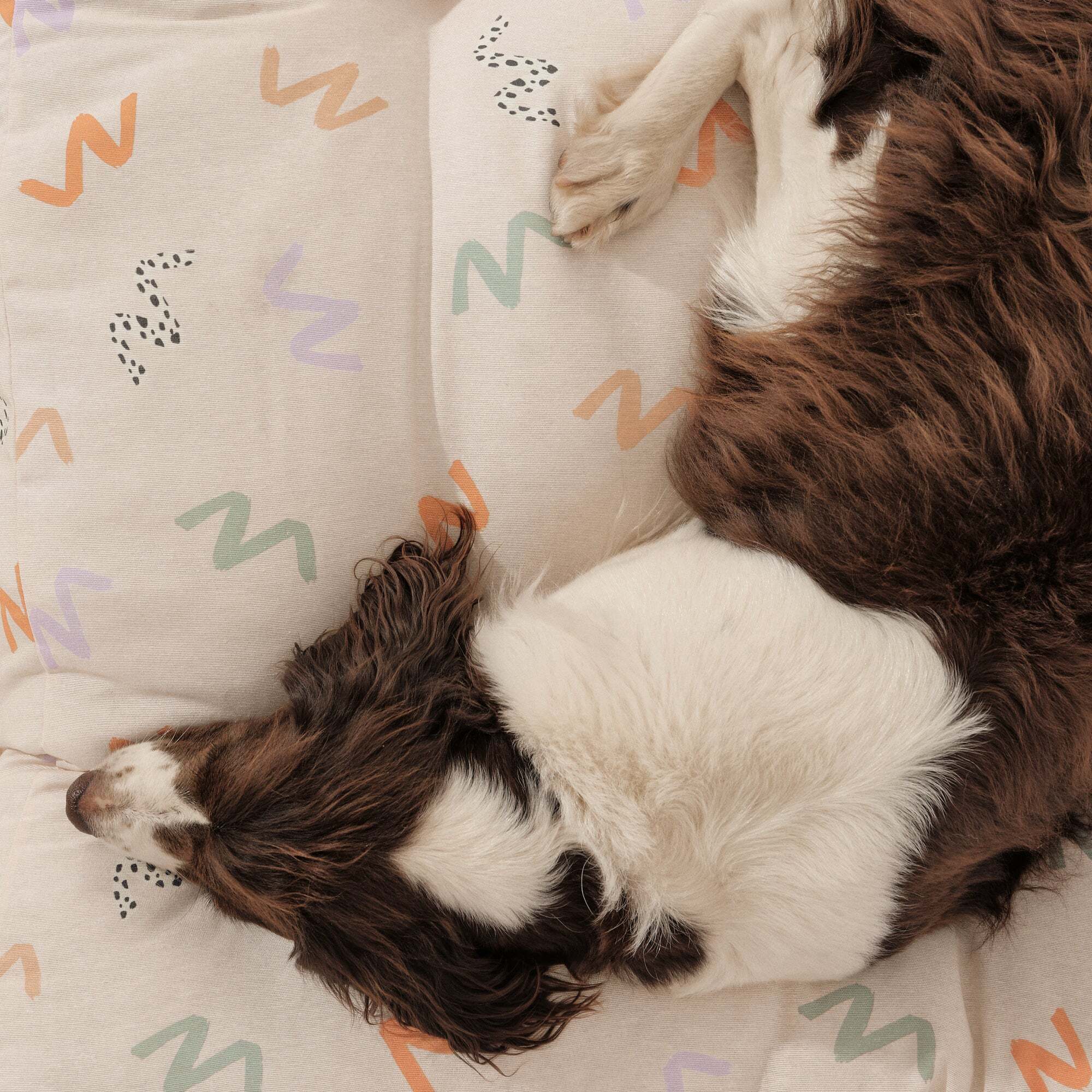 Lit épais et rembourré pour chiens et chats, 100 % coton anti-taches, pour animaux 0120-201