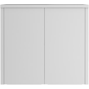 Armoire sécurisée SC1010GBE