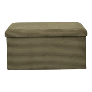 Coffre Banc Pliable Cotele Scott Vert