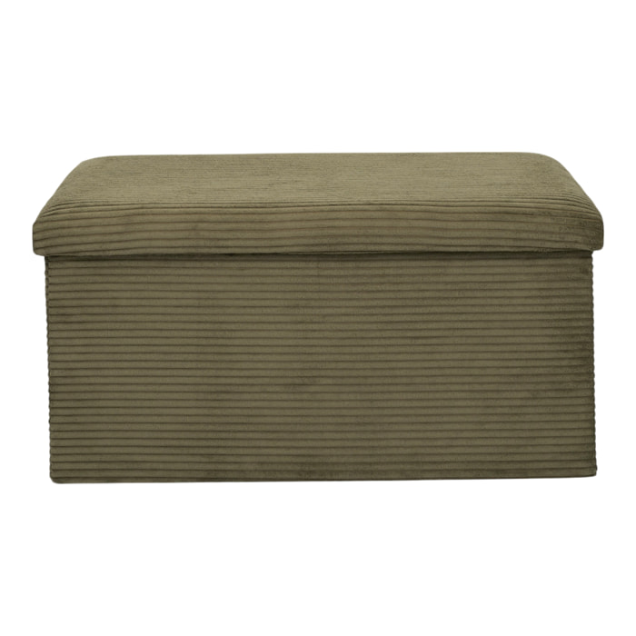 Coffre Banc Pliable Cotele Scott Vert