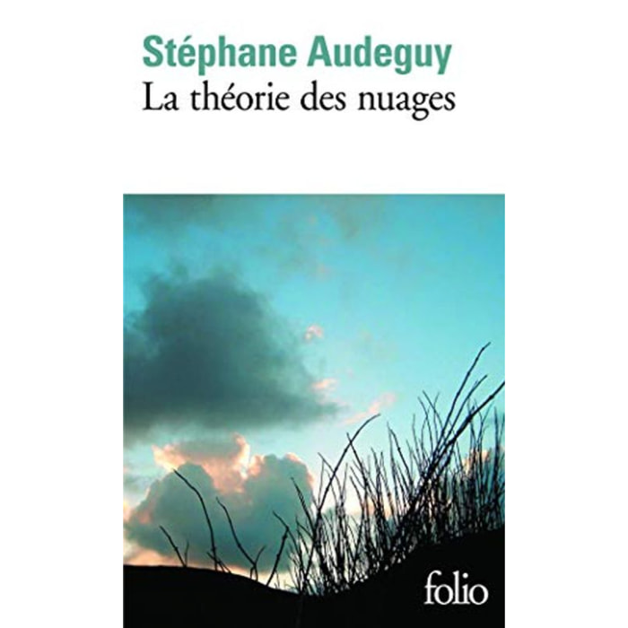 Audeguy, Stéphane | La théorie des nuages | Livre d'occasion