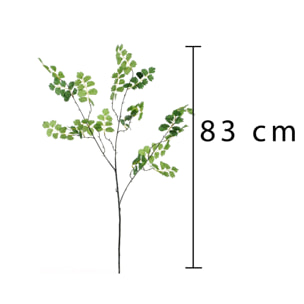 Ramo Di Capelvenere. Altezza 83 Cm - Pezzi 6 - 25X83X10cm - Colore: Verde - Bianchi Dino - Piante Artificiali