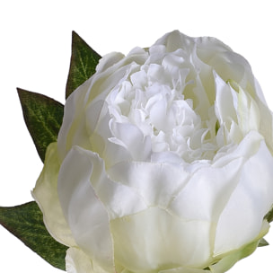 Peonia. Altezza 48 Cm - Pezzi 6 - 14,5X50X14,5cm - Colore: Bianco - Bianchi Dino - Fiori Artificiali