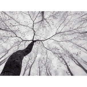 Papier peint panoramique arbre en hiver Intissé
