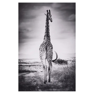 Toile encadrée "Animaux" 75x115cm