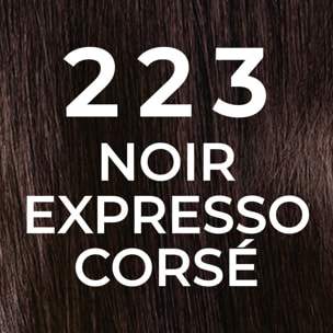 L'Oréal Paris Casting Natural Gloss Coloration 223 Noir Expresso Corsé