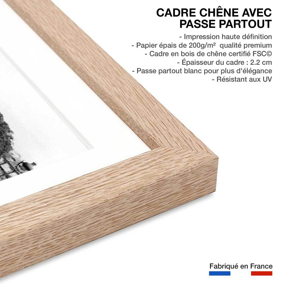 Affiche film Belmondo L'Homme de Rio 1964 Affiche + cadre en bois - Chêne