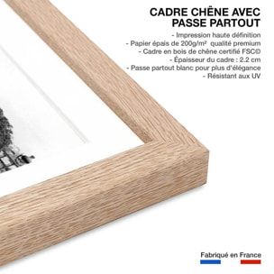 Affiche film Belmondo L'Homme de Rio 1964 Affiche + cadre en bois - Chêne