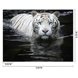 Papier peint tigre blanc dans l'eau Intissé