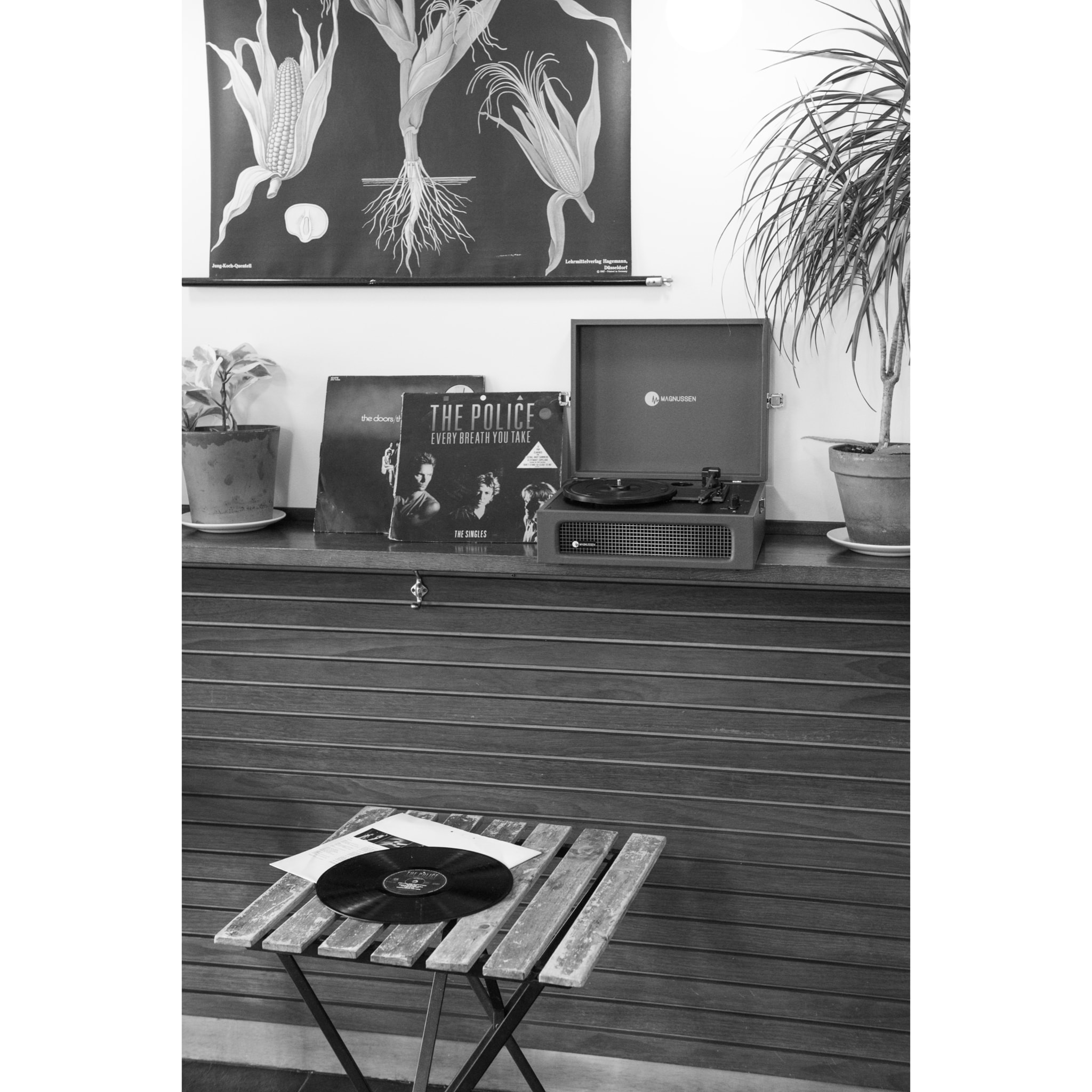 NEW MAGNUSSEN T1 TURNPLAYER en color Negro