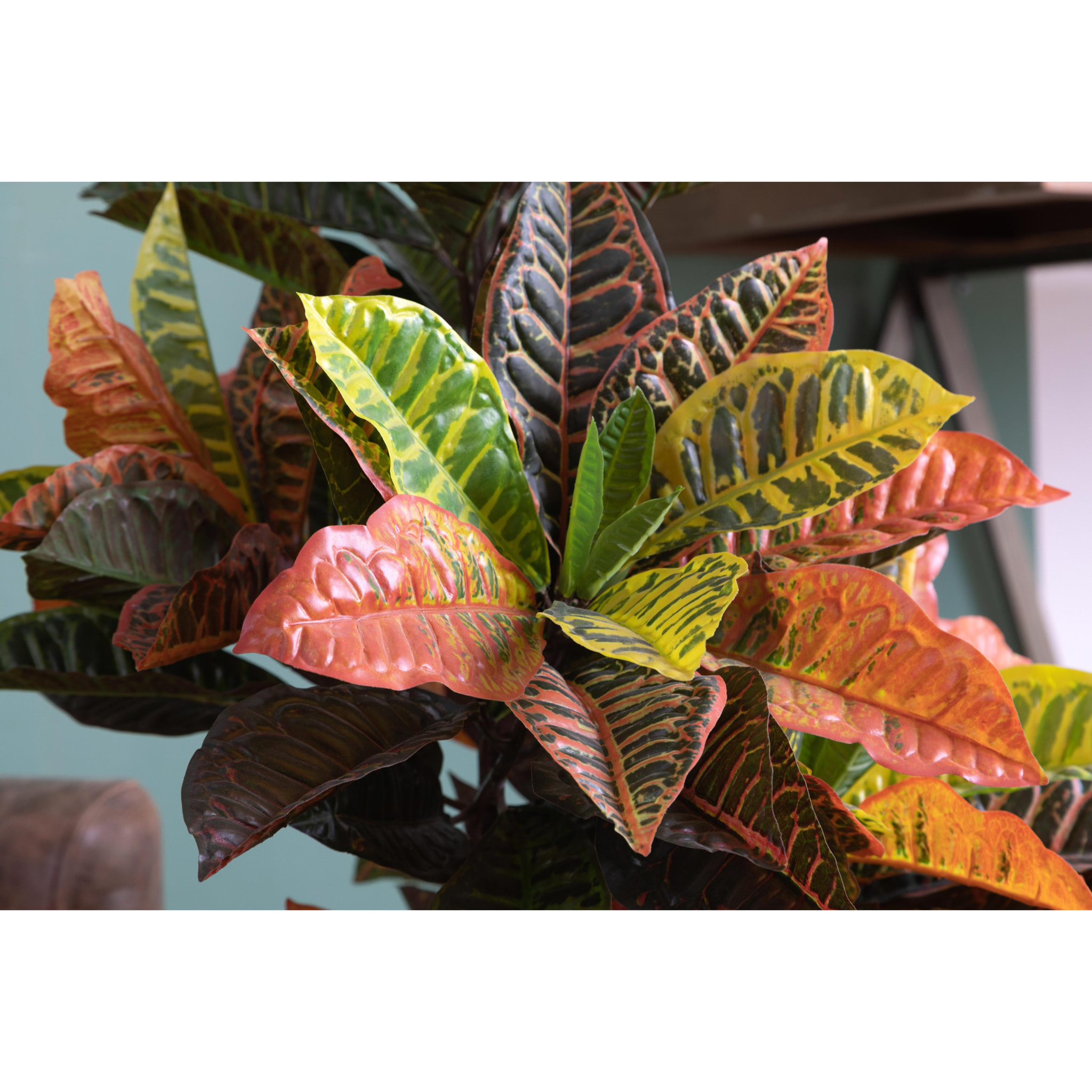 Croton Con Vaso, Composto Da 136 Foglie. Altezza 100 Cm - Pezzi 1 - 60X100X60cm - Colore: Verde - Bianchi Dino - Piante Artificiali