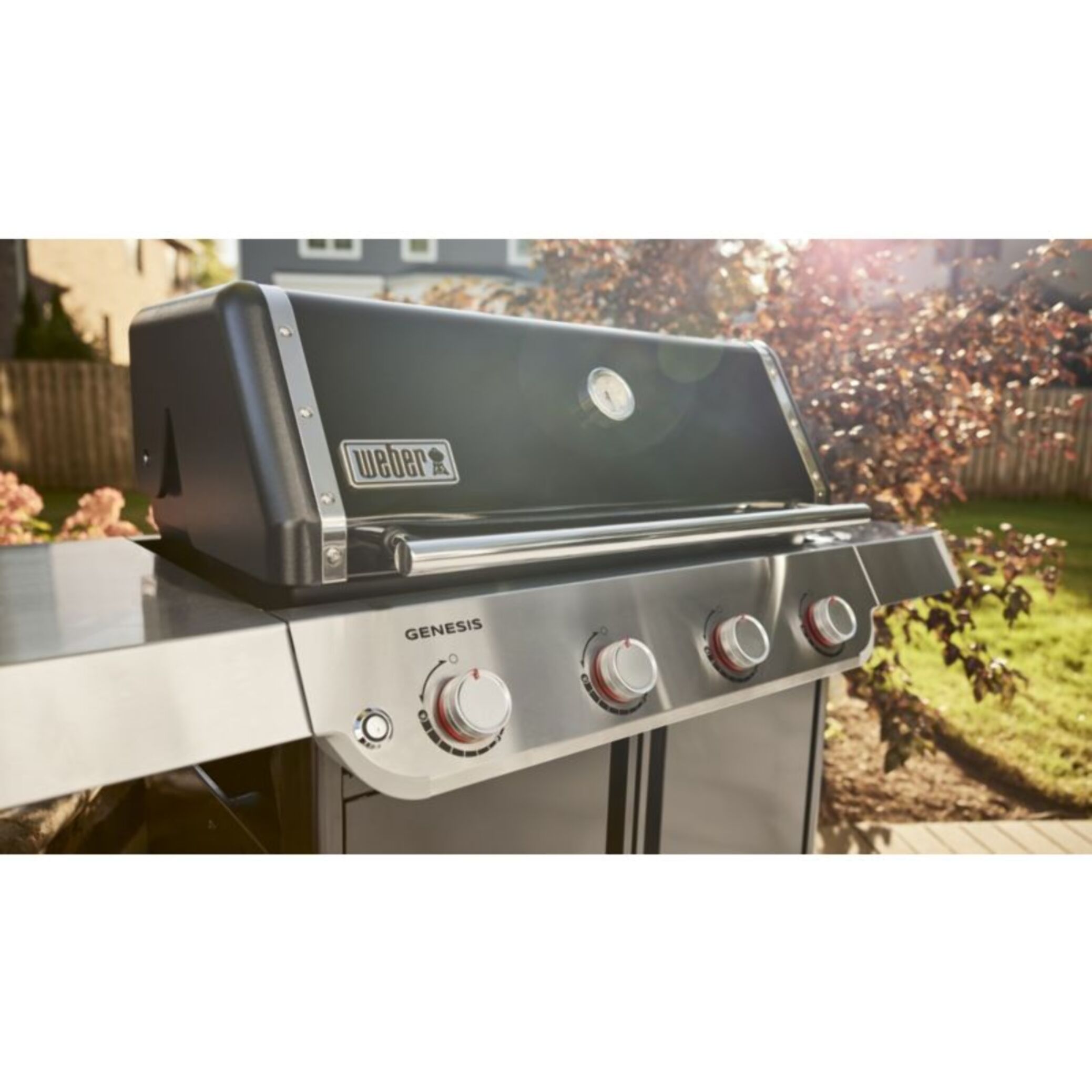 Barbecue gaz WEBER Genesis E-415 black 4 brûleurs sur chariot, 86x48 cm