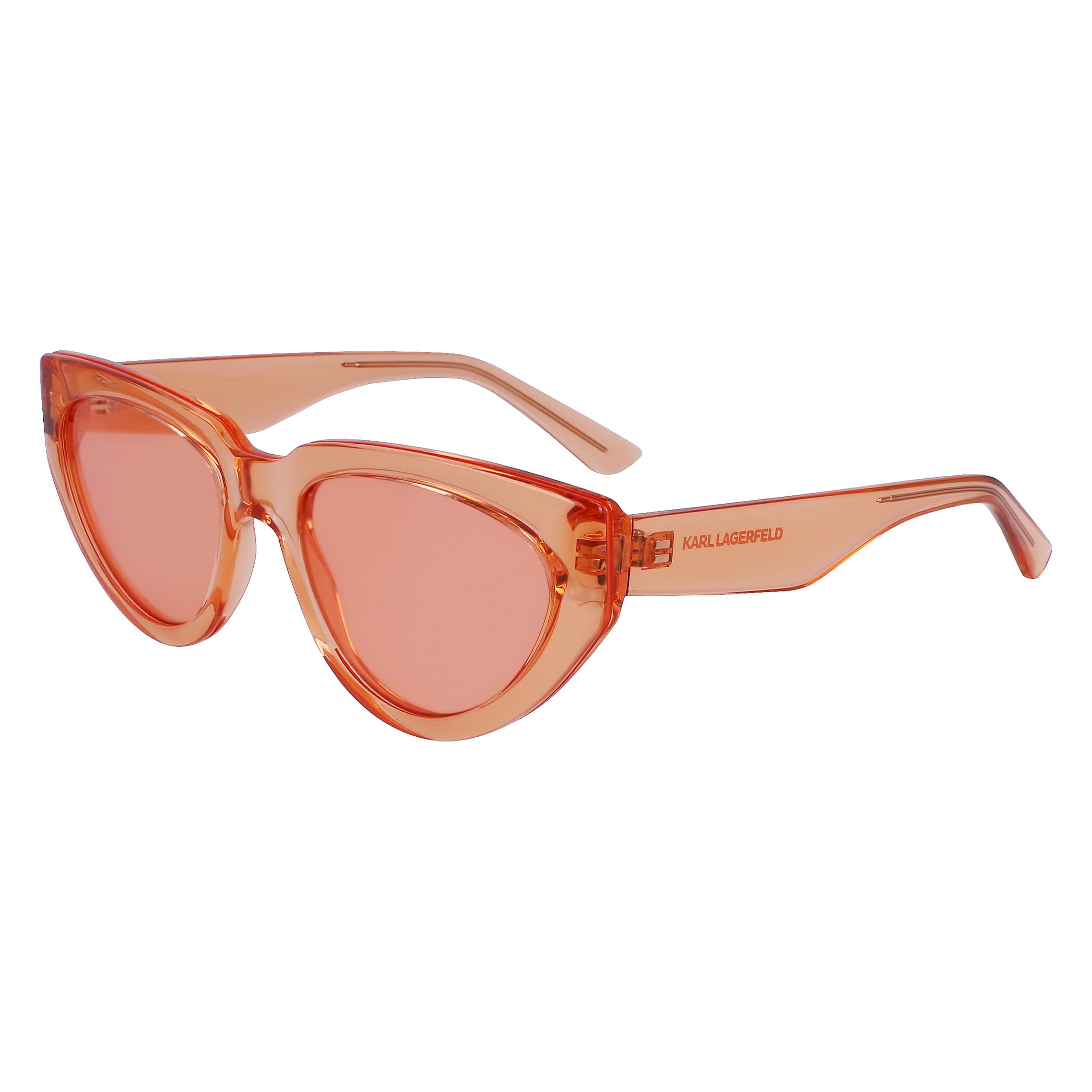 Gafas de sol Karl Lagerfeld Mujer KL6100S-800