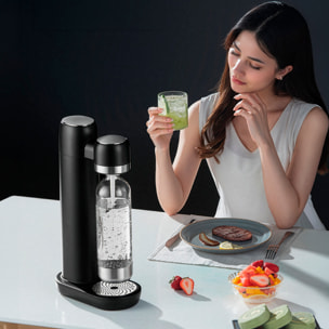 Máquina KT-168 para preparar agua con gas y bebidas carbonatadas en casa. Incluye botella de 1L.