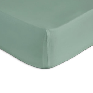 Drap housse en coton CASUAL vert d'eau