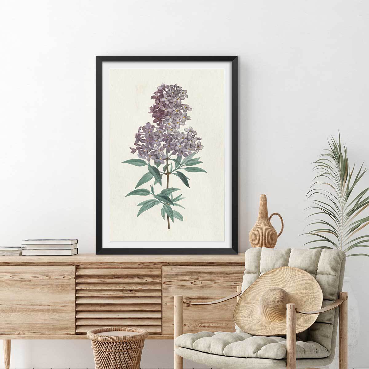 Affiche fleurs de Lilas vintage Affiche seule