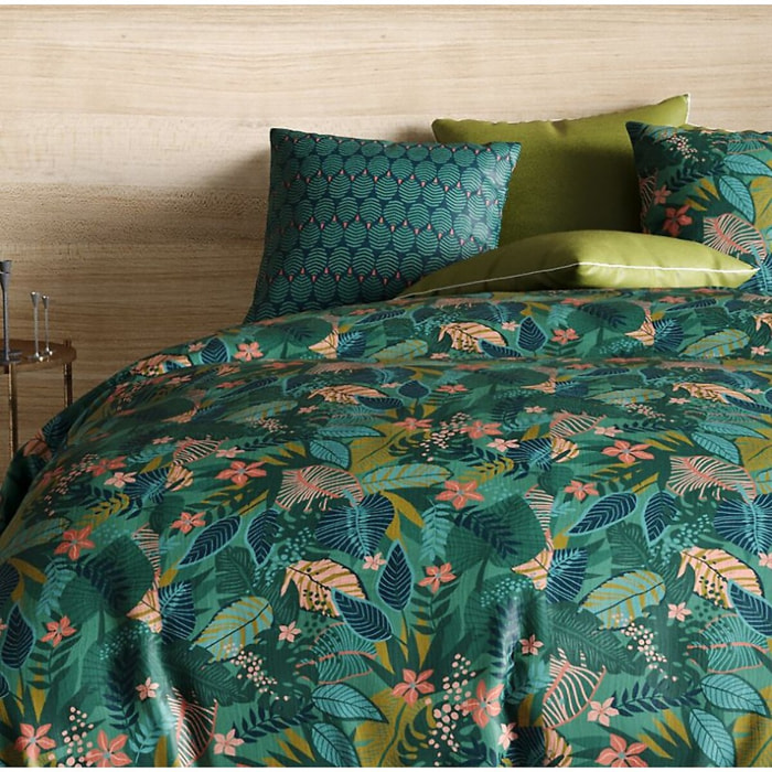 Parure housse de couette coton fougère