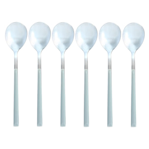 Lot de 6 cuillères de table grises en acier inoxydable  COLORAMA