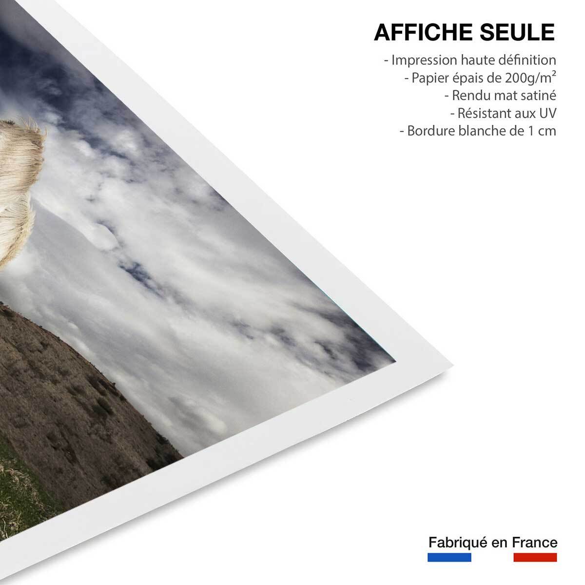 Affiche Chevaux blancs Affiche seule