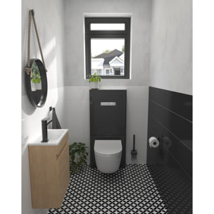 Vitrus bâti-support design pour WC suspendus avec plaque de commande, verre de sécurité, noir (870-5761-01)