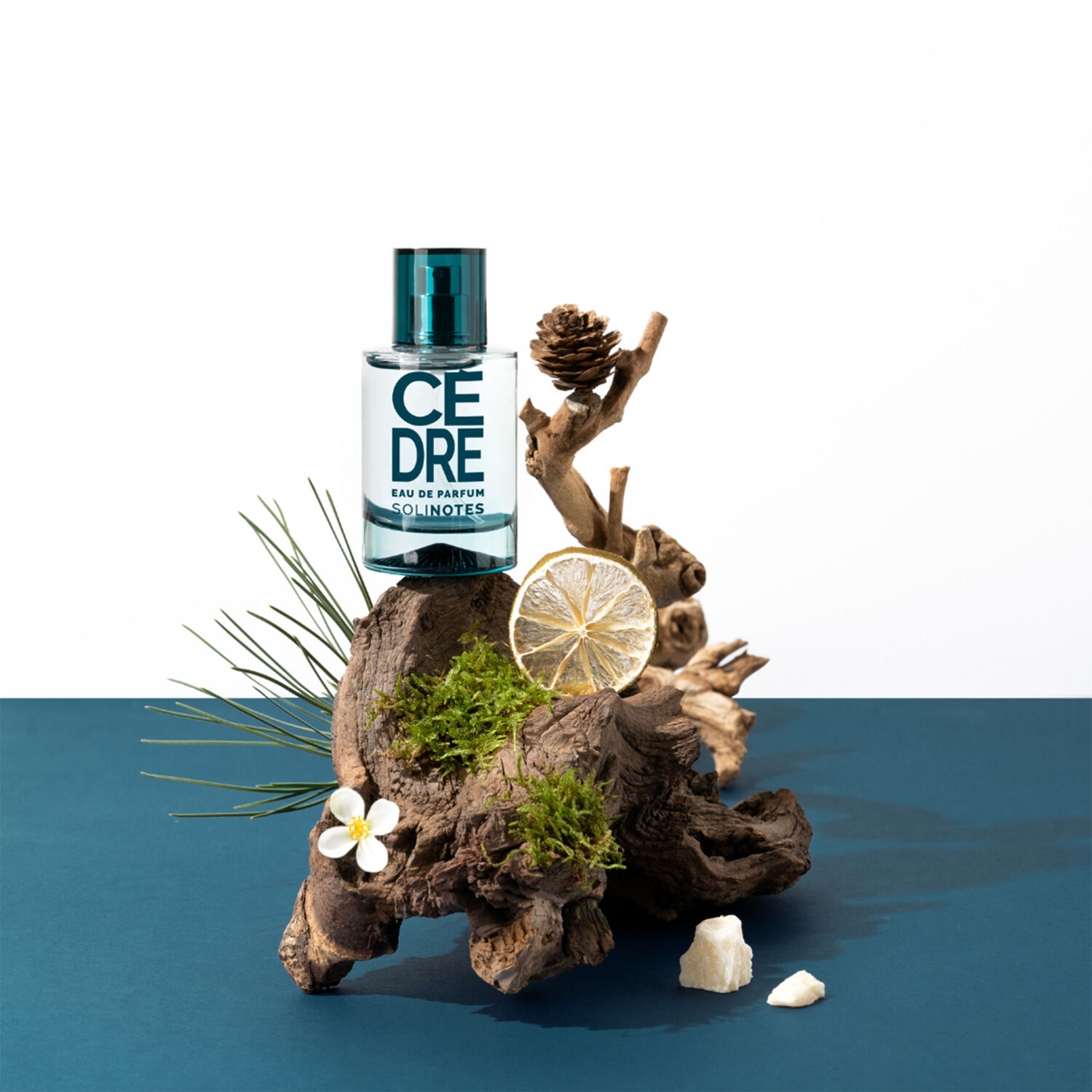 Cèdre - Eau de Parfum