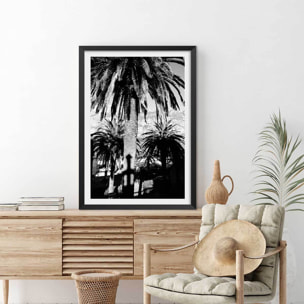Affiche noir et blanc palmiers monténégro Affiche + cadre en bois - Noir