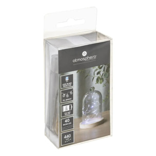 Guirlandes "Anya" 40 microLED à pile argent blanc froid L400cm
