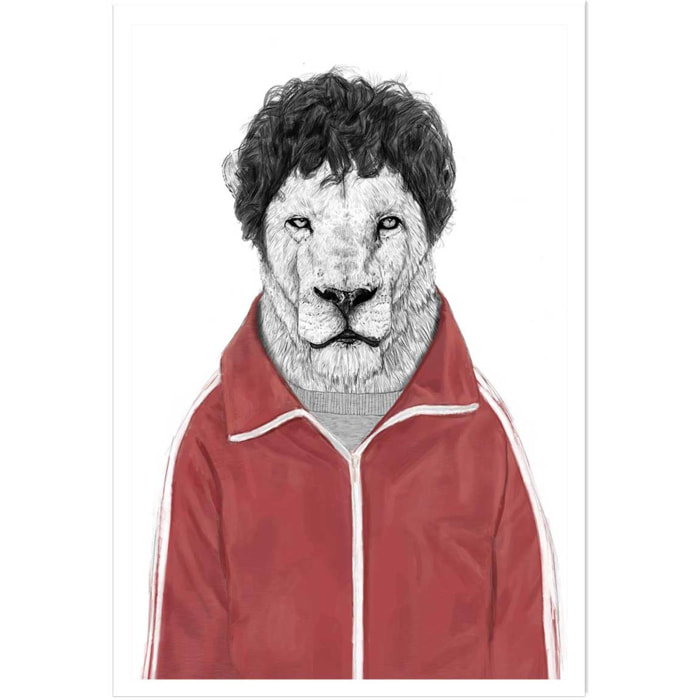 Affiche enfant lion  Affiche seule