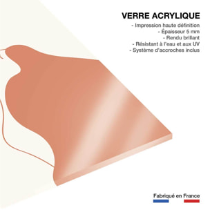 Tableau un baiser volé Tableau plexiglas