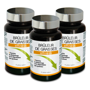 NUTRI EXPERT - Effiness Brûleur de Graisses - Déstocke Et Dégrade Les Graisses - Aide Minceur Et Perte De Poids - Formule Renforcée - Guarana Maté Thé Vert Chrome Choline - Lot de 3 produits