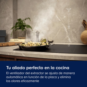 Electrolux Campana extractora integrada Serie 600 Hob2Hood de 54 cm LFG516X